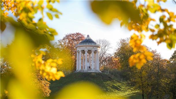 Bilder des Tages Der Englische Garten im Morgenlicht.