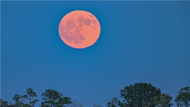 Der Erdbeermond leuchtet am späten Abend rötlich über der Landschaft.