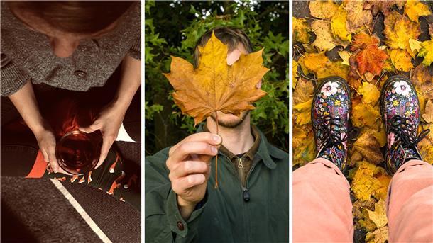 Der erste Advent steht vor der Tür, der Herbst ist in den Köpfen vieler Menschen Geschichte. Zeit,, der bunten Jahreszeit "Goodbye" zu sagen! Auf Instagram findet ihr unsere schönsten Herbstbilder.