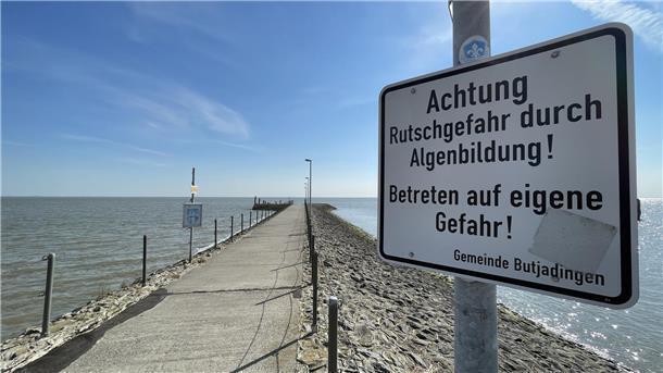Der Fähranleger in Eckwarderhörne soll erneuert werden. Doch nach dem derzeitigen Stand sieht es so aus, dass die erhofften Fördermittel nicht fließen.