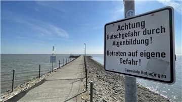 Der Fähranleger in Eckwarderhörne soll erneuert werden. Doch nach dem derzeitigen Stand sieht es so aus, dass die erhofften Fördermittel nicht fließen.