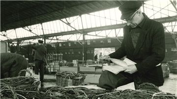 Der Fischbahnhof mit seinen Laderampen. An jedem Gleis war der Bestimmungsort angegeben wie Frankfurt oder München.