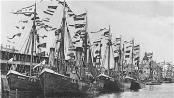 Der Fischereihafen Geestemünde mit geflaggter Flotte zwischen 1907 und 1914 aufgenommen. Auf der linken Seite die Wurthmann-Fischdampfer „Herbert“, „Paul“ und „Eva“. Damals gehörten die Schiffe schon zur Norddeutschen Hochseefischerei AG.
