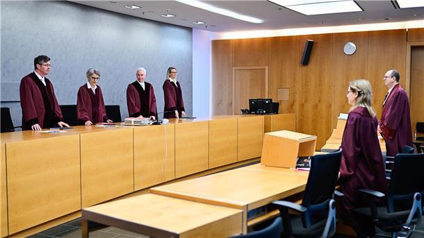 Bambushecke zu hoch? Bundesgerichtshof prüft Nachbarstreit Der Fünfte Zivilsenat hat über eine Bambushecke in Hessen verhandelt.