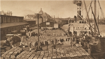 Der Geestemünder Fischereihafen hieß ab 1924 Fischereihafen Wesermünde. Hier werden am Fischkai Heringe gelöscht.