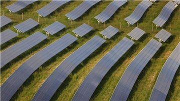 Das Foto zeigt einen Solarpark