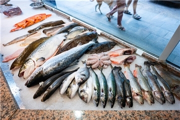  Verschiedene Fische werden in der Auslage eines Fischgeschäfts zum Kauf angeboten. Der gesamte in Deutschland produzierte Fisch ist bereits am 8. März aufgebraucht. Ohne Importe wären die Regale leer, warnt der BUND Elbe-Weser.