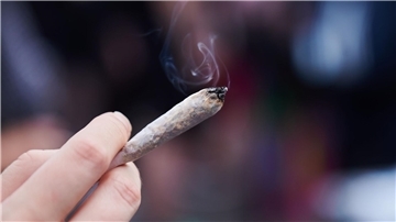 Der Gesetzentwurf sieht vor, Cannabis im Betäubungsmittelgesetz von der Liste der verbotenen Substanzen zu streichen.