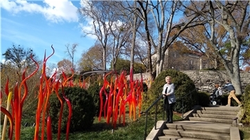 Renate Stone  steht auf dem auf dem Gelände des Cheekwood-Herrenhauses neben einer roten Glasskulptur des Künstlers Dale Chihuly.