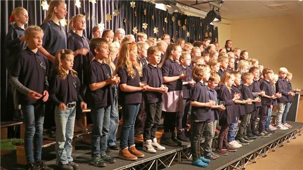 Der große Chor betörte das Publikum nicht nur mit vielen schönen Liedern, sondern zeigte dazu auch noch tolle Choreografien.
