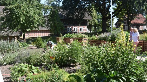 Das Foto zeigt den Heilkräutergarten in Sittensen. 