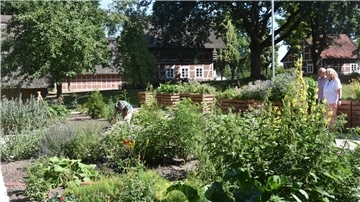 Das Foto zeigt den Heilkräutergarten in Sittensen. 