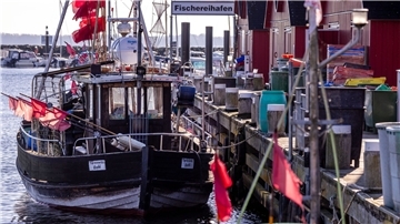Der hölzerne Fischkutter TAR006 liegt im kleinen Fischerhafen in Tarnewitz. Für Mitte Oktober erwarten die Fischer die neuen Festlegungen für die Fischfangmengen in der Ostsee durch die EU.