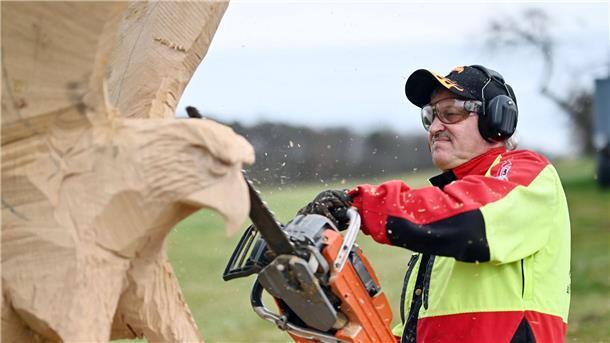 Dieter Binder sägt Kreaturen aus Holz für Promis Der Kettensägen-Holzschnittkünstler Dieter Binder arbeitet an einer Skulptur in Form eines Adlers.