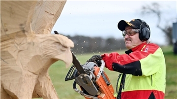 Der Kettensägen-Holzschnittkünstler Dieter Binder arbeitet an einer Skulptur in Form eines Adlers.