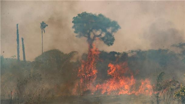 Gesundheit zunehmend durch Klimawandel beeinträchtigt Der Klimawandel beeinträchtigt weltweit immer stärker die menschliche Gesundheit. (Archivbild)