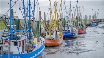 Kutterschiffe in einem Hafen