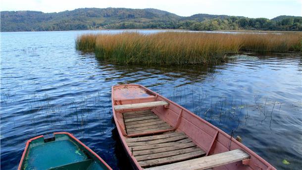 Runde Seen verraten den Vulkan Der Laacher See ist durch Vulkanismus entstanden.