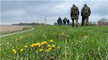 Ein Deich, bedeckt mit Gras und Löwenzahn. Auf dem Deich laufen Menschen.