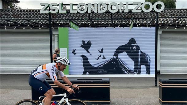 Der Londoner Zoo hat das Gorilla-Wandbild von Banksy von seinem Eingangstor ausgetauscht.