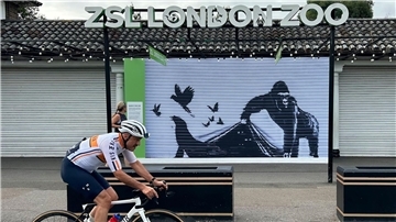Der Londoner Zoo hat das Gorilla-Wandbild von Banksy von seinem Eingangstor ausgetauscht.