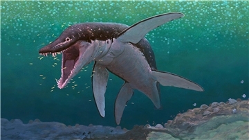 Der Lorrainosaurus gehört zu den ältesten bekannten Mega-Pliosauriern.