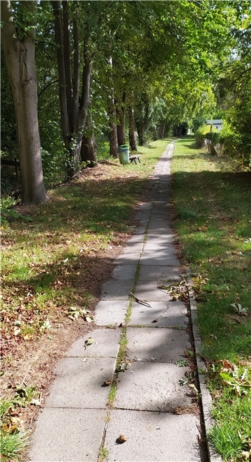 Der marode grüne Weg in Tossens von der Straße Auf dem Int zur Nordseeallee soll im kommenden Jahr erneuert werden. Das zu beschließen empfiehlt der Ausschuss für Bauwesen und Landwirtschaft dem am 6. Oktober tagenden Gemeinderat.