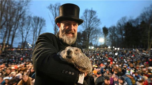 Murmeltiertag: Phil sieht den Frühling kommen Der Murmeltier als Wetterfrosch: Punxsutawney Phil.
