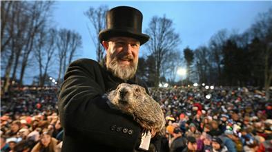Der Murmeltier als Wetterfrosch: Punxsutawney Phil.