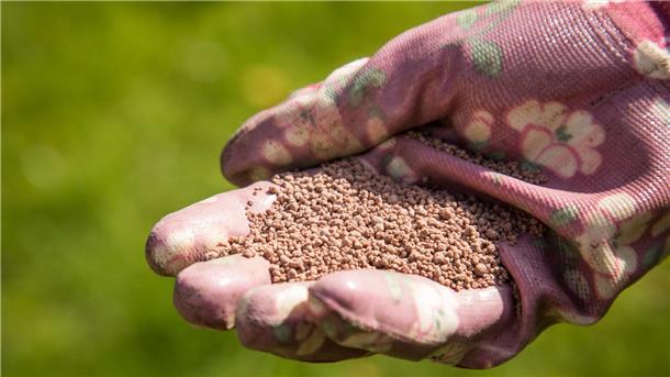 Wie der Rasen im eigenen Garten wieder grün wird Der noch vorhandene Rasen bekommt im Frühjahr Dünger. Foto: Klose/dpa