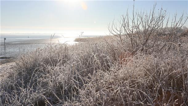 Zauberwetter: So schön ist die Wesermarsch Der Nordenhamer Strand im winterlichen Morgenlicht.