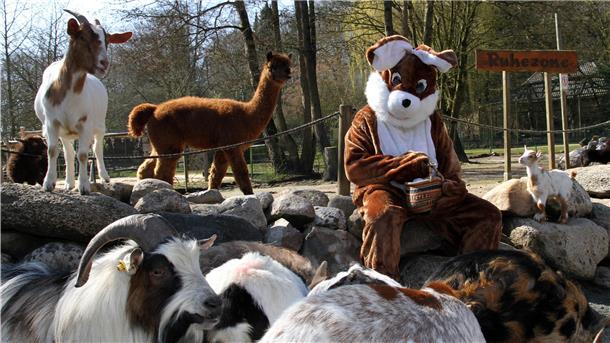 Der Osterhase stattete den Tieren im Wingster Zoo einen Besuch ab - die Besucher müssen ja draußen bleiben.