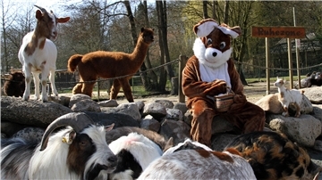 Der Osterhase stattete den Tieren im Wingster Zoo einen Besuch ab - die Besucher müssen ja draußen bleiben.