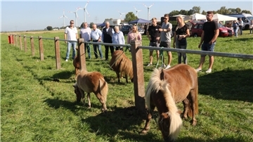 Ponys und Menschen