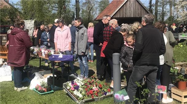 Der Pflanzen- und Staudenmarkt im „Garten Eden“ in Waddens lockt alljährlich viele Besucher an. Am Sonnabend, 27. April, ist es wieder so weit.