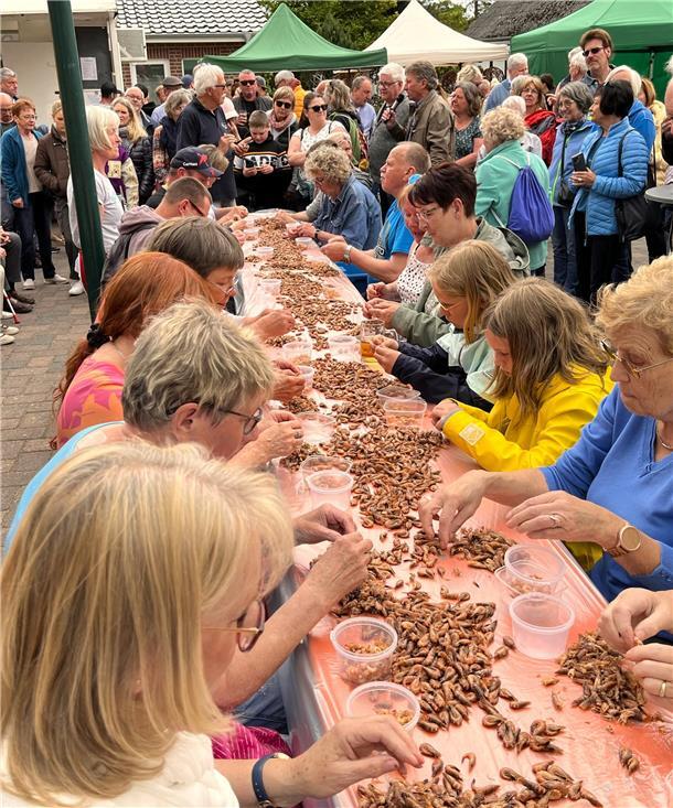 Der Pulwettbewerb beim Wremer Krabbentag hat Tradition.