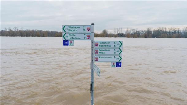 Hochwasser am Rhein geht langsam zurück Der Radweg mit Beschilderung am Rheinufer im Ortsteil Mittelheim (Oestrich-Winkel) steht komplett unter Wasser.