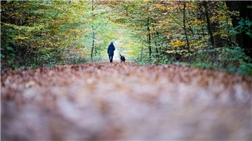 Reinkenheider Forst