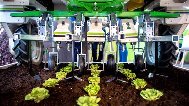 Der Roboter „Dino“ steht am Stand von Naio Technologies über einem Beet mit Salatköpfen auf der Landtechnik-Messe Agritechnica in der Messe Hannover.