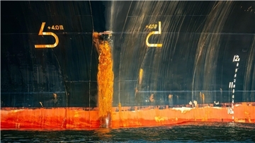 Der Rumpf vom Frachtschiff „Polesie“.