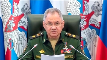 Der russische Verteidigungsminister Sergej Schoigu.