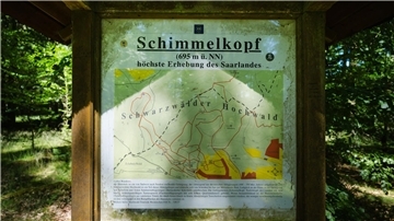 Der Schimmelkopf war mal der höchste Berg im Saarland. Er soll es wieder werden.
