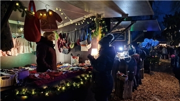 Schneeflöckchen-Markt in Brake