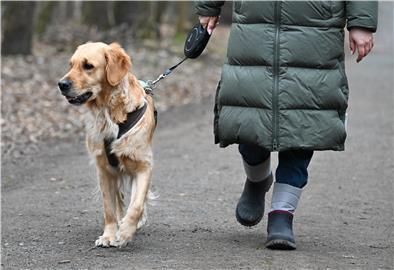 Hund Frau Spaziergang