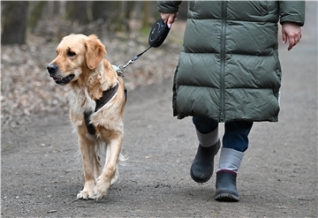 Hund Frau Spaziergang