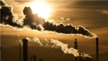 Der Senat will die CO2-Emissionen in den nächsten Jahren kontinuierlich senken. Im Rahmen einer Klimaschutzstrategie sollen konkrete Schritte ressortübergreifend erarbeitet und umgesetzt werden.