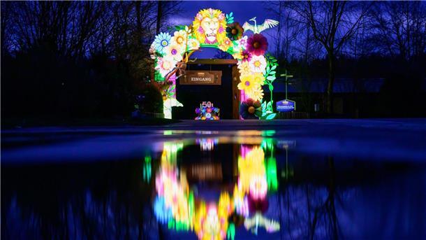 Der Serengeti Park in Hodenhagen im Heidekreis hat 1000 Lichtobjekte aufgestellt, darunter sind teils meterhohe Tier- und Fantasiefiguren.