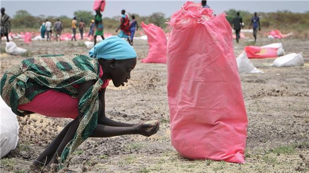 UN-Analyse: Dreiviertel Milliarde Menschen hungern Der tägliche Kampf gegen den Hunger: Eine Frau im Südsüdan sammelt Hirse vom Boden auf, die in Säcken über der Stadt abgeworfen wurden.