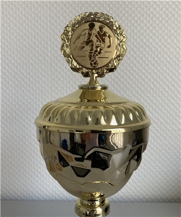 Der Torjägerpokal der NORDSEE-ZEITUNG