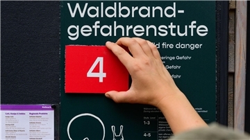 Schon wieder Waldbrandgefahr in Niedersachsen Der vielen Regentage im Juli haben die Waldböden dringend gebraucht - aber es war noch nicht genug.  (Archivbild)